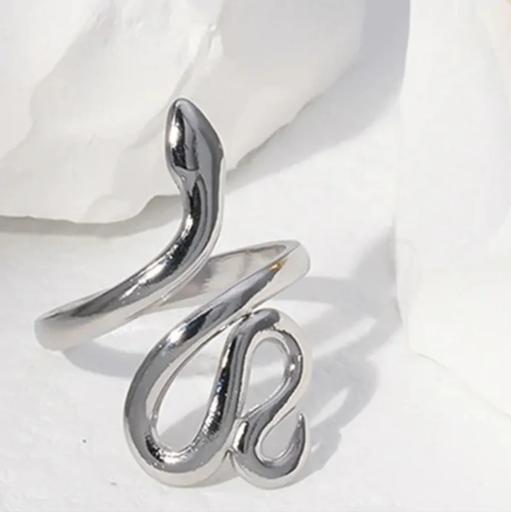 Silver Snake Ring